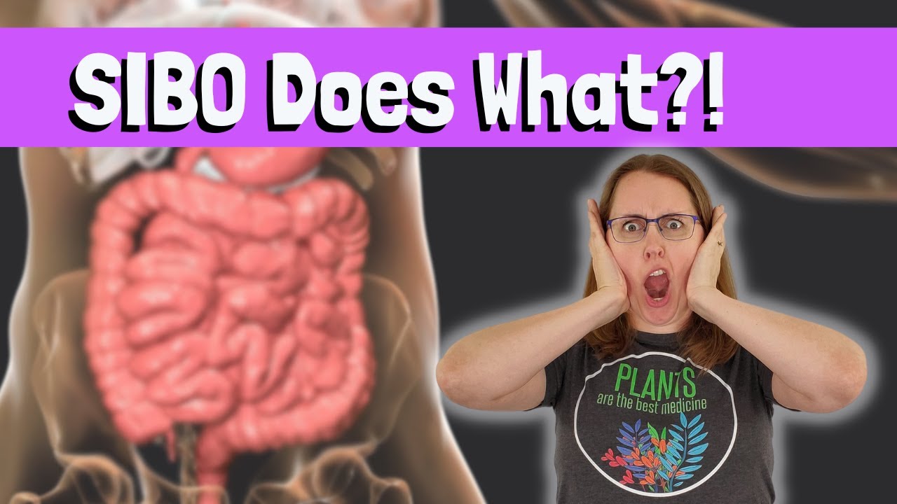 Does SIBO Cause Malabsorption?