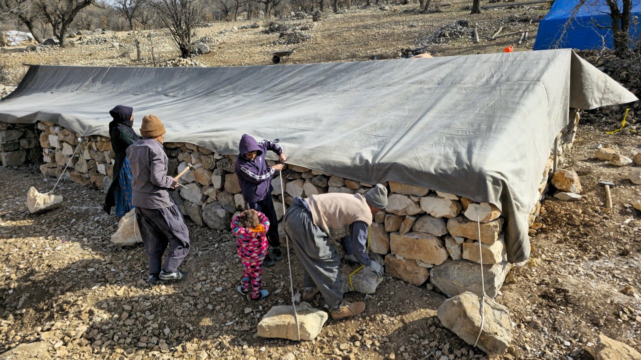 A documentary about nomadic life: covering the roof of a sheep stable with a nomadic tent🏕️🐑✨