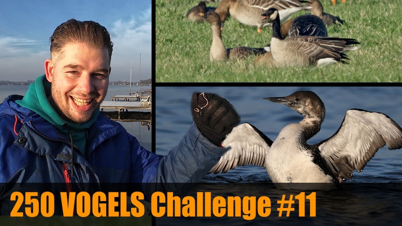 IK VOND EEN ZELDZAME VOGEL en twitchte een MEGA!