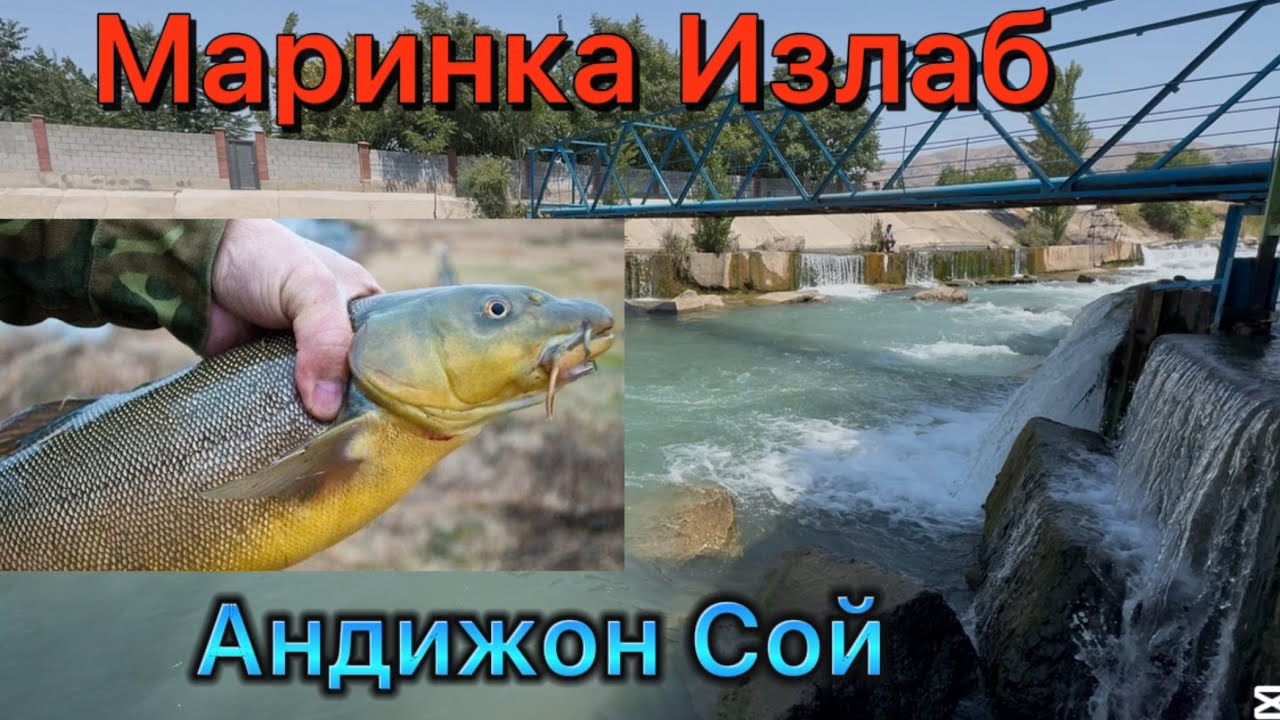 Маринка Балиг Излаб 7 августа 2025 г.