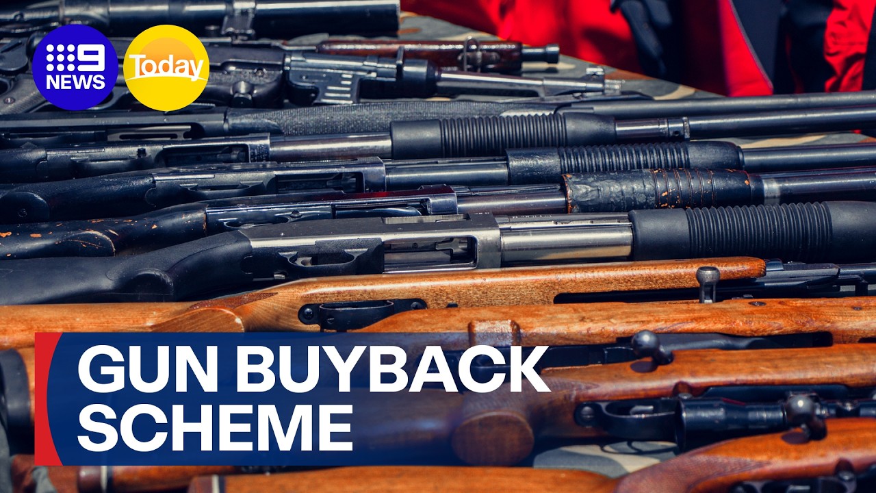 Gun buyback scheme announced for NSW | 9 News Australia