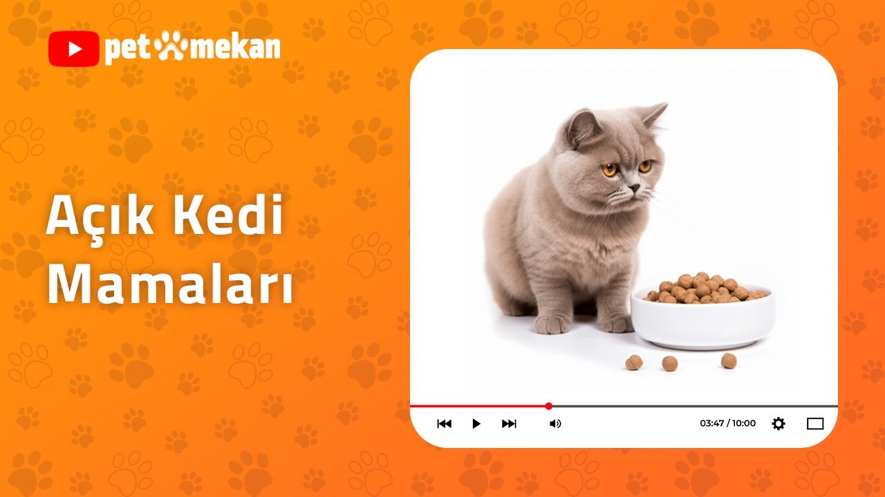 Açık Kedi Maması Alırken Dikkat Edilmesi Gerekenler 🐱🛒 #kedibakımı #kedi #kediaşkı #kediler