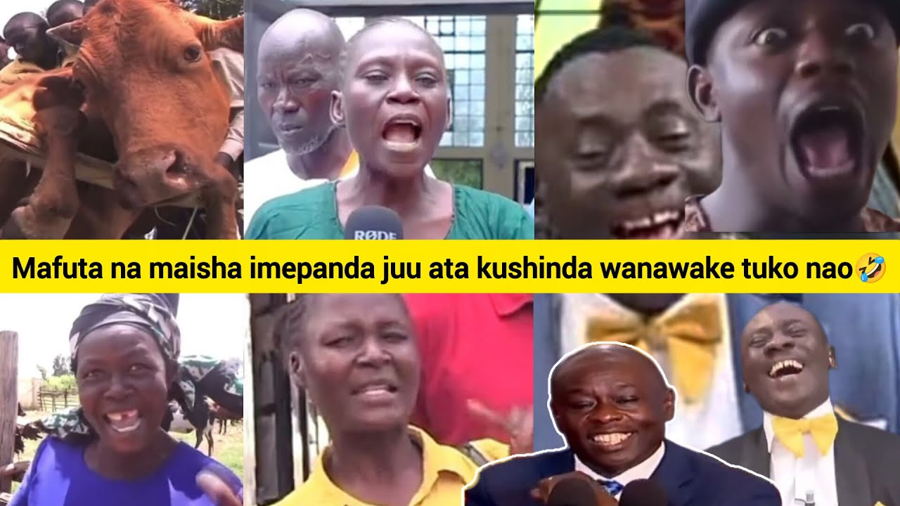Best Kenyan eye witness moments😂😂 (Part 10) | Ng'ombe ilikunywa busaa ikalala siku nne 😂 #kenyanews