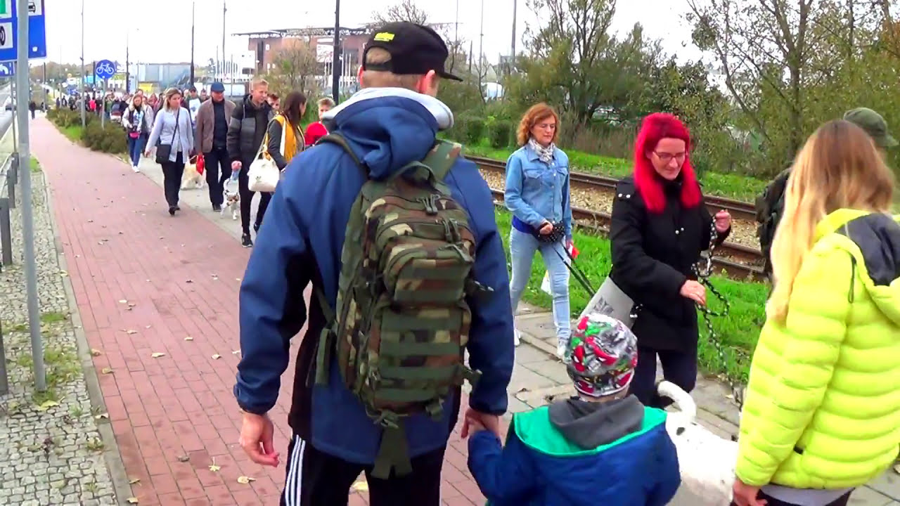 Parada Ps&oacute;w Adoptowanych