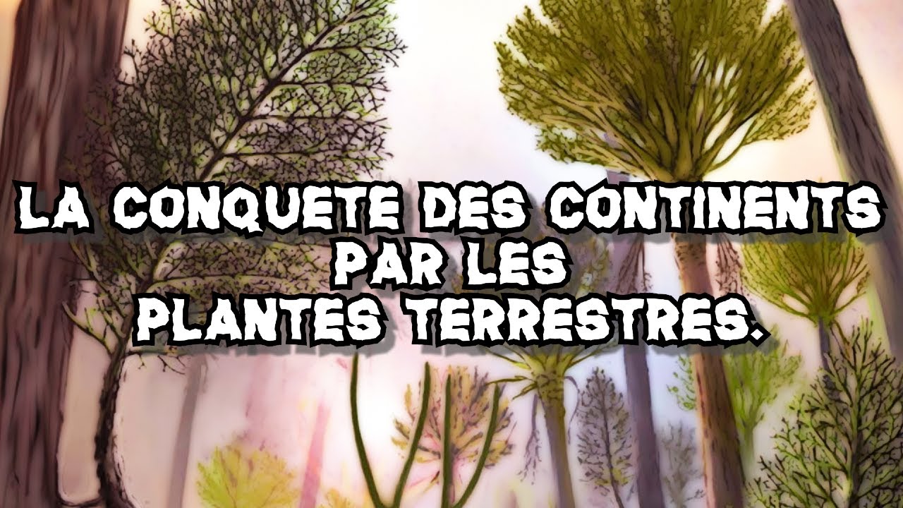 PALÉOBOTANIQUE #6 : La Conquête des continents par les Plantes terrestres - Les premières forêts