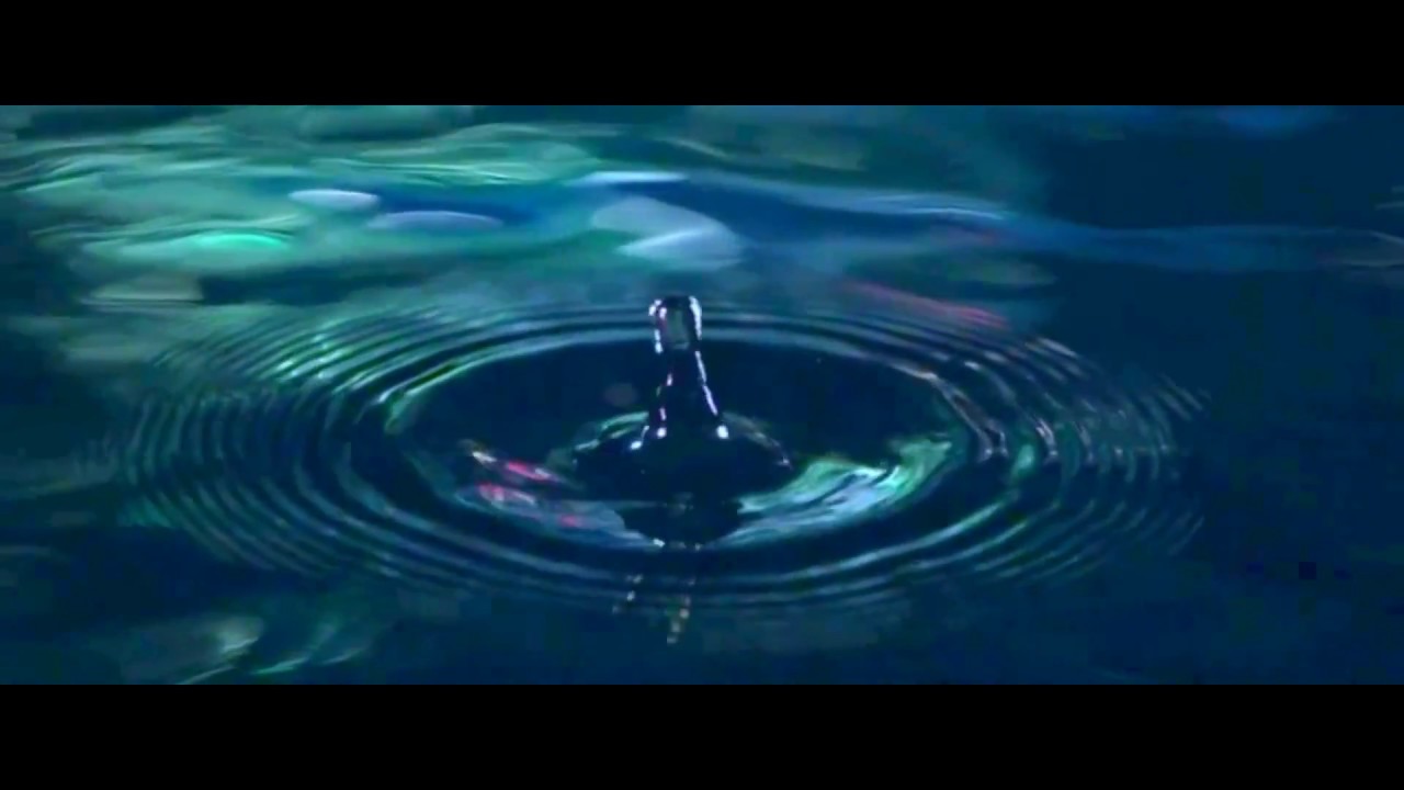 Barrison | Barry and Harrison | Illuminated