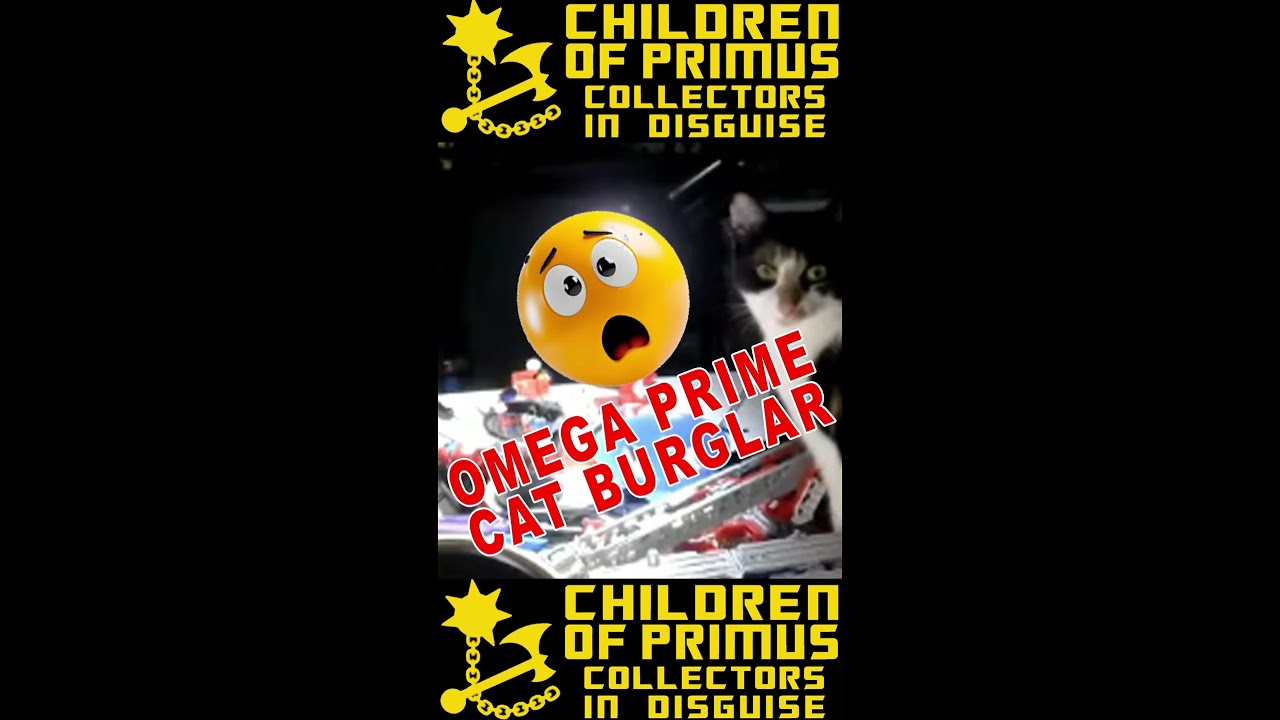 TRANSFORMERS CAT BURGLAR!!! #transformers #haslab #childrenofprimus #storytime #fyp #shorts