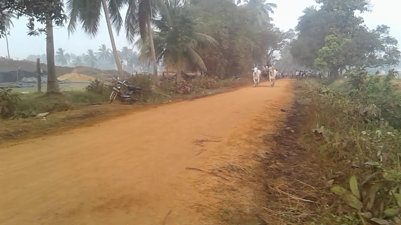 G medapadu(5)