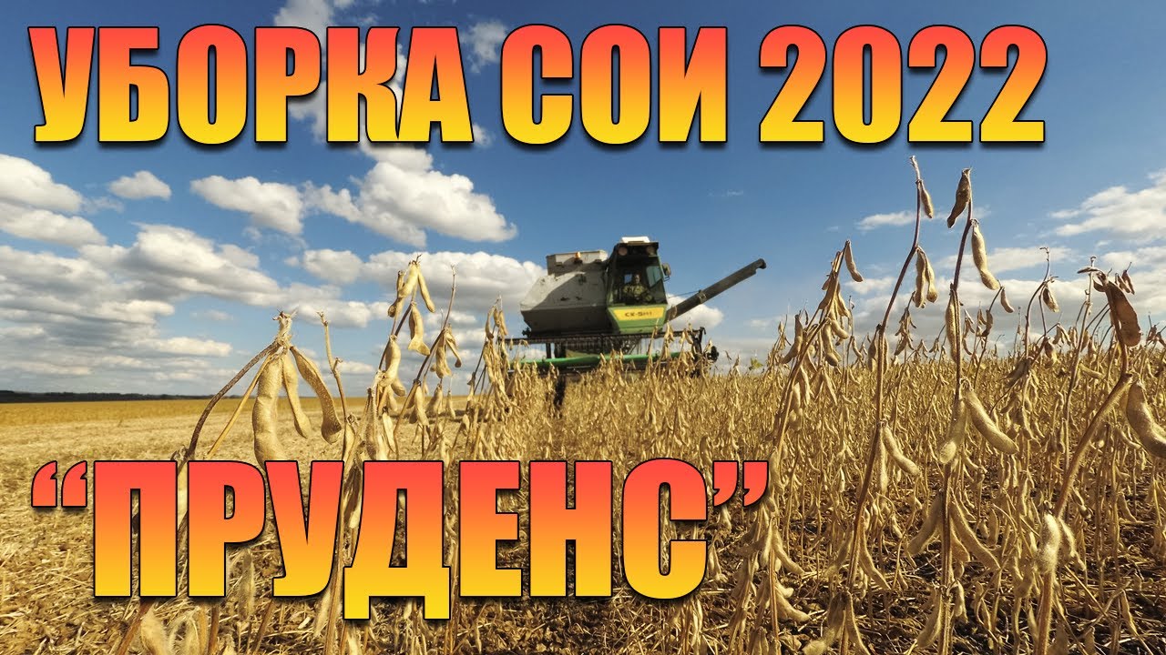 Уборка сои 2022 г.  Сорт 