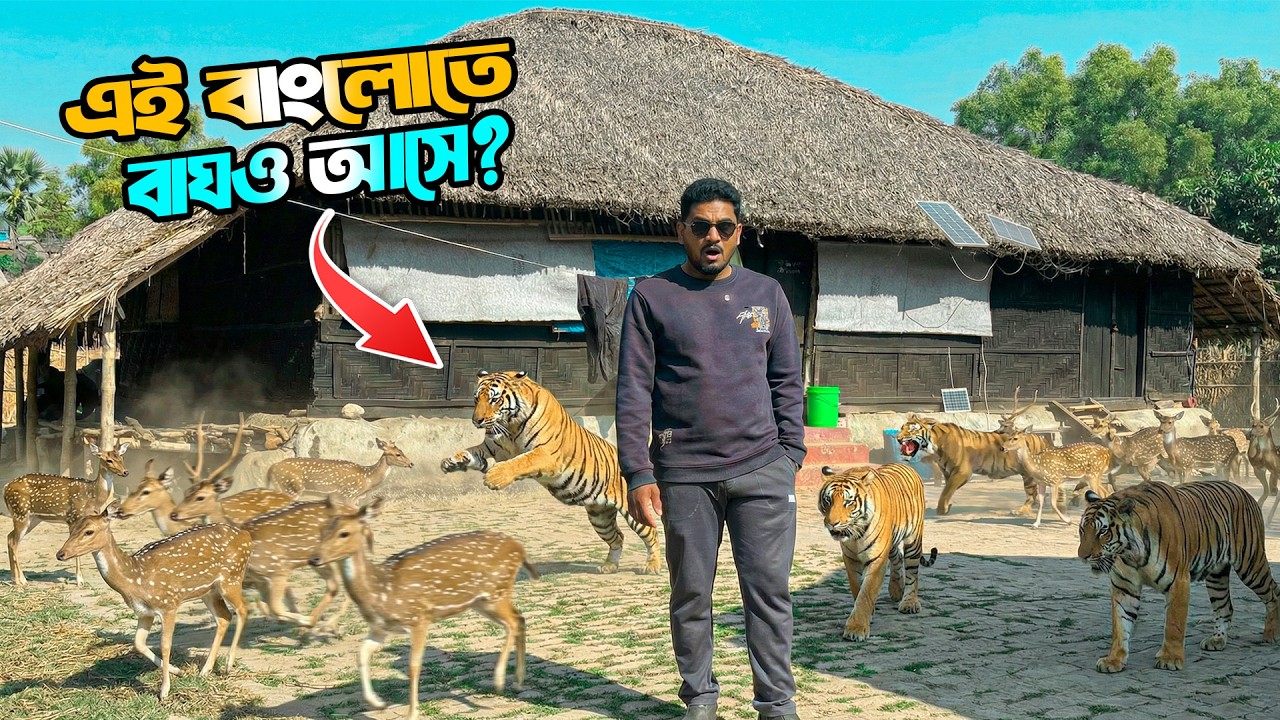 সুন্দরবনের সেই রহস্যময় বাংলো! যার উঠোনেই ঘোরে হরিণ আর বাঘ | Adventure BD