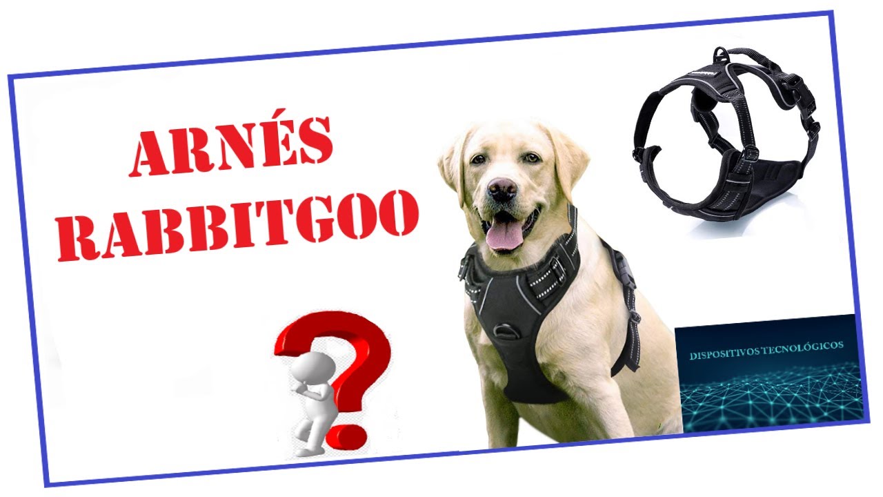 🐕 Descubre el ARN&Eacute;S para PERROS RABBITGOO | AMAZON 🐶👍