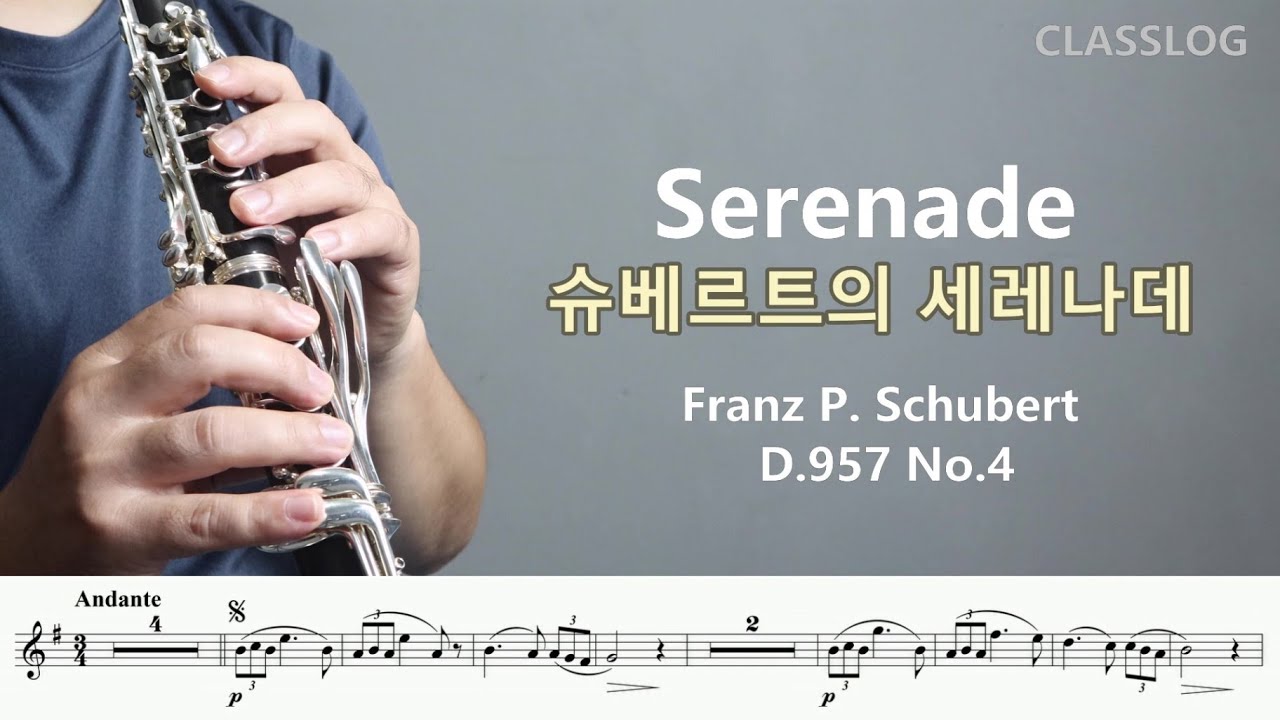 Serenade / Standchen  Franz Schubert /슈베르트의 세레나데 D.957 No.4 (Clarinet) 릴렉스 감성 수면