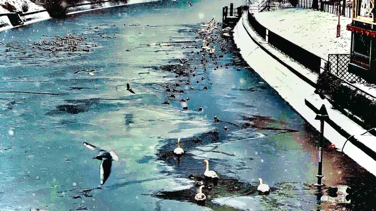 Rossano Snel - 10 Days of Snow (Sunshine remix)
