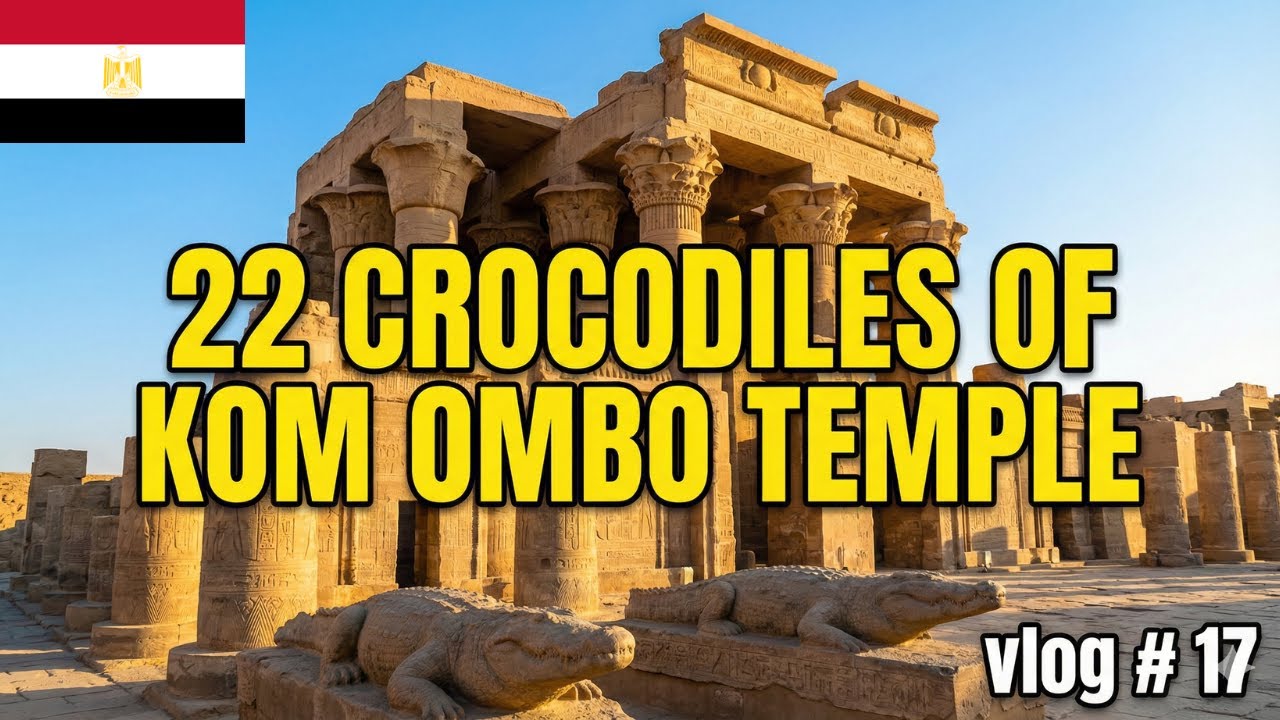 22 CROCODILES OF KOM OMBO TEMPLE #komombo #egypt #crocodile