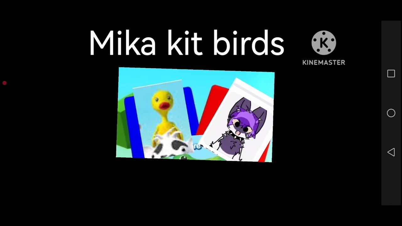 Birds 94.0