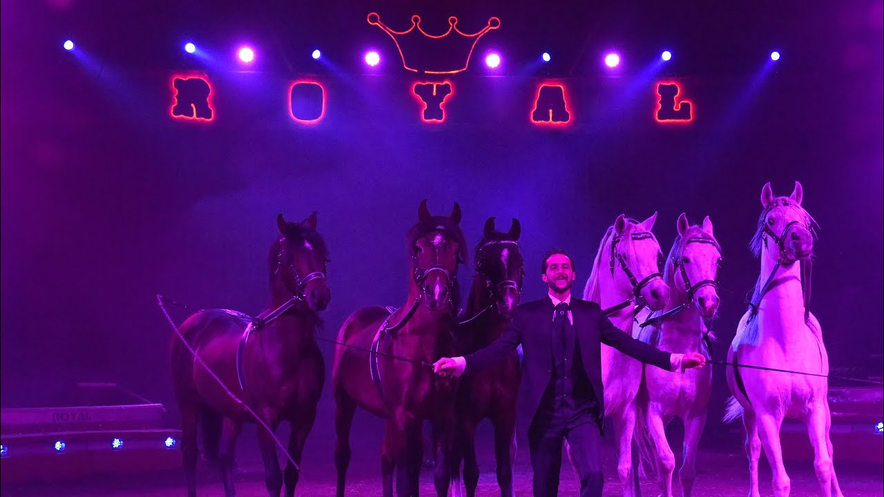 LA BELLISSIMA CAVALLERIA DELL'IMPERIAL ROYAL CIRCUS! (Gennaio 2026) Circhi_in_Italia