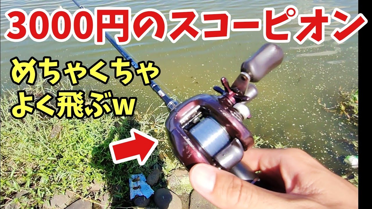 中古3000円の激安ベイトリール、スコーピオン1000が最高でした【バス釣り】