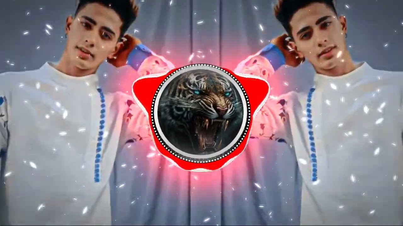 Miya bhai Dj remix song  _-_ Danish zehen _-_ [ slowed reverb ] 🇸🇦💚
