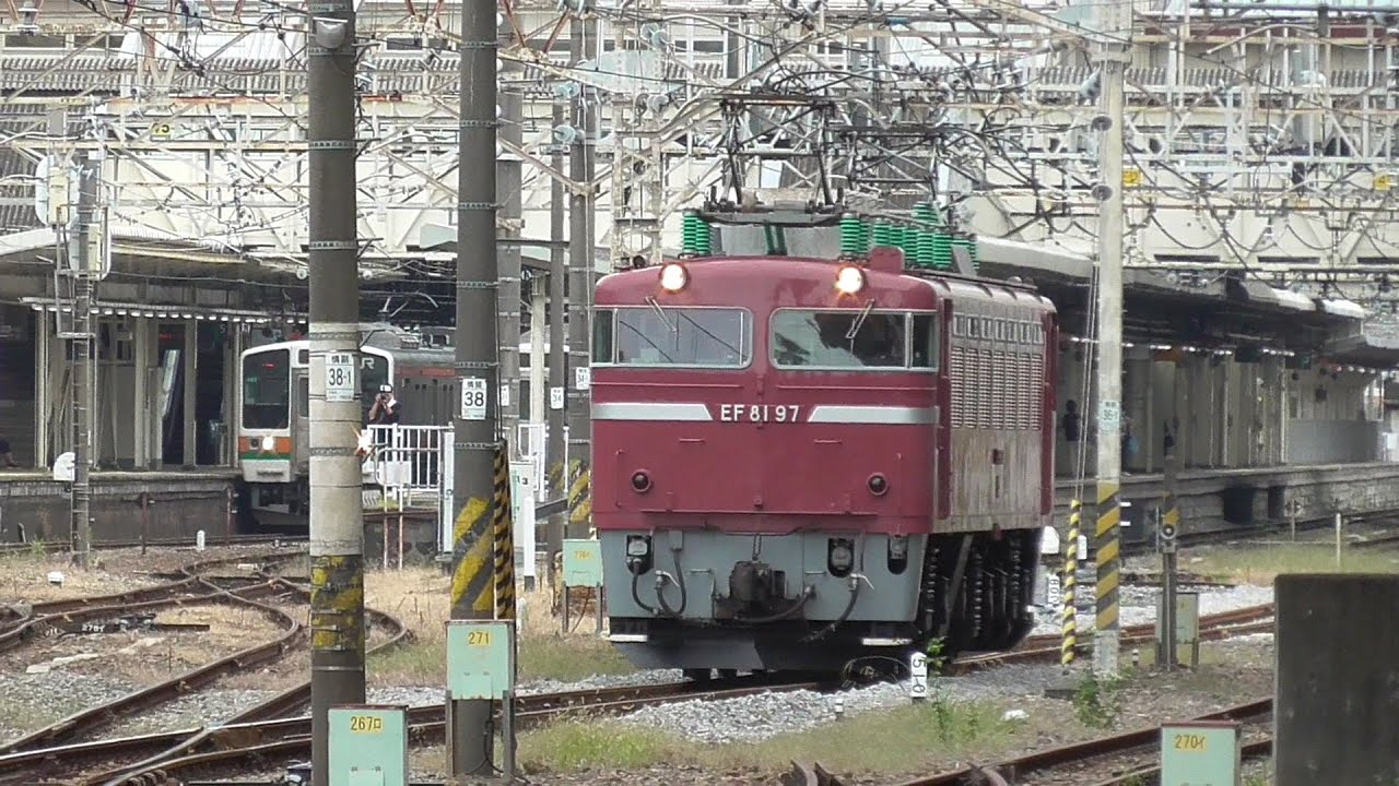 2024年10月16日　交流直流両用電気機関車 国鉄標準色のローズピンク!!  EF81 97 単機返却回送(水戸→長岡)　JR高崎駅