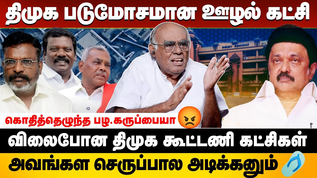 ADMK, TVK  சேர்ந்தா தான் திமுக-வ வீழ்த்த முடியும்🤔😮 - Pala. Karuppiah