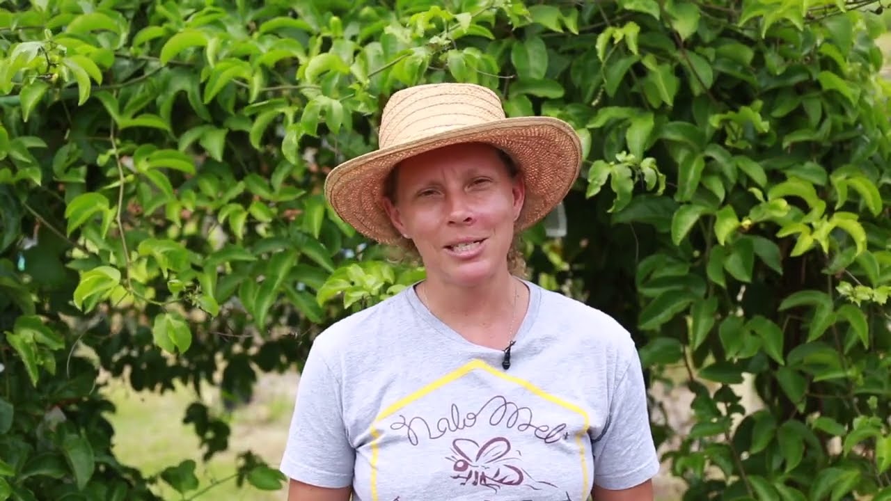 Localicious&reg; Heroes 2023: Nalo Meli Honey