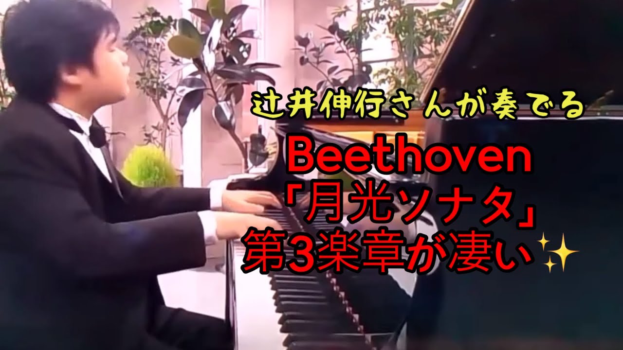 辻井伸行ベートーヴェン ピアノソナタ第14番 「月光」 第3楽章Beethoven/Piano Sonata No. 14 