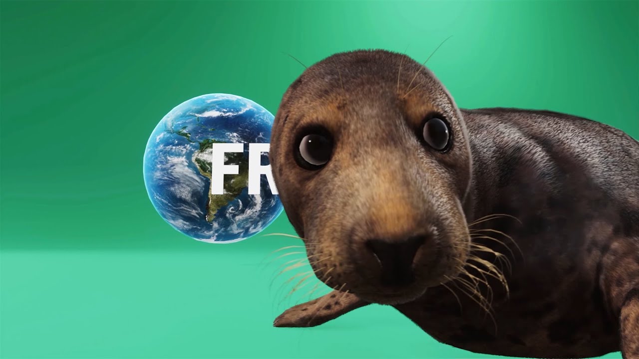 All Planet Zoo Opening Videos (Updated January 2022)