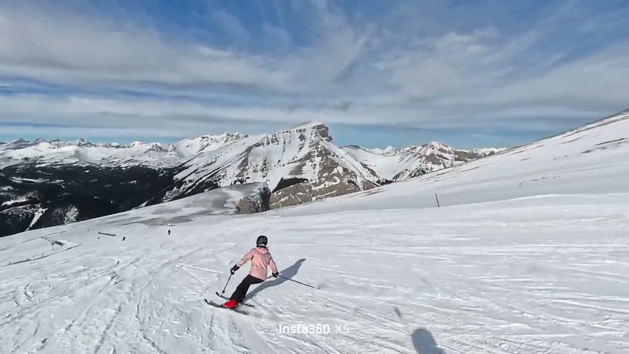 Sunshine 11 février 2026