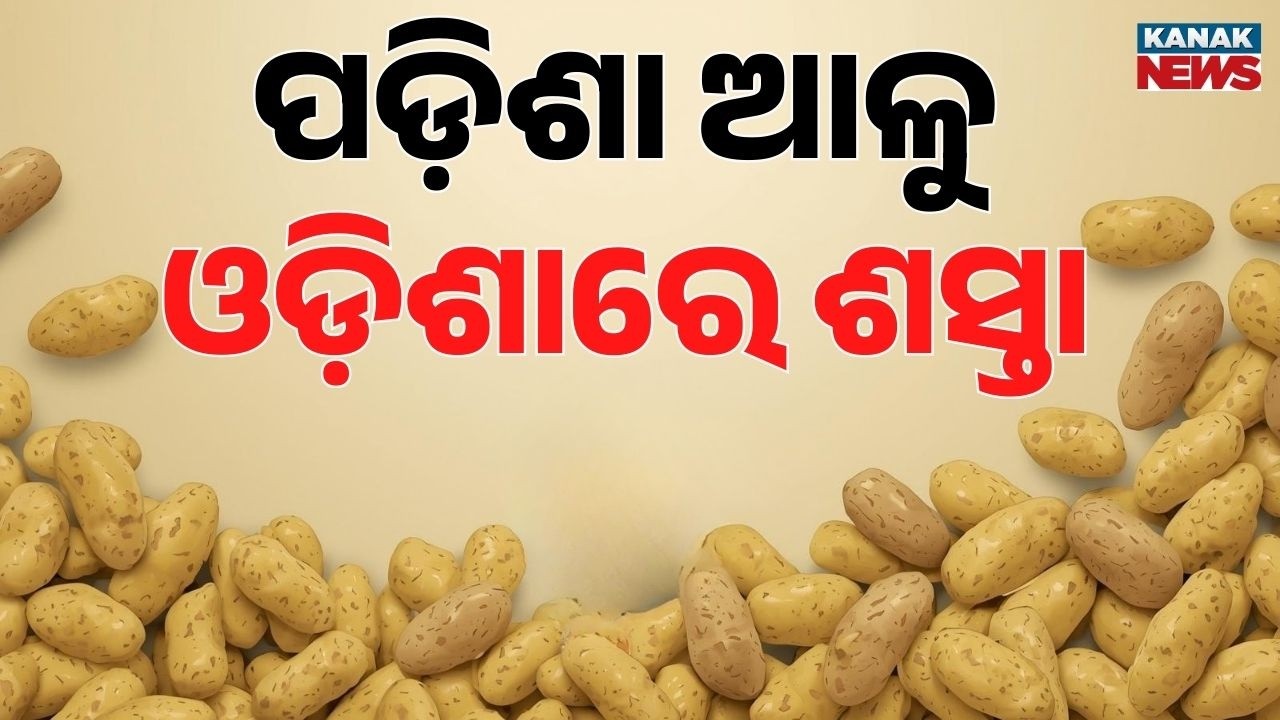 Potato Shock! Why West Bengal's Potato is Cheaper in Odisha but Expensive in WB?