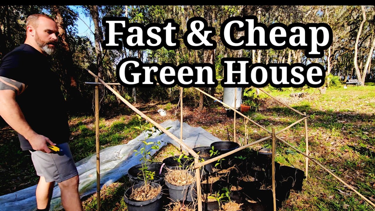 GROW FOOD NOW! ~ Build a Fast and Cheap Greeen House out of Scraps! #greenhouse #homestead #garden