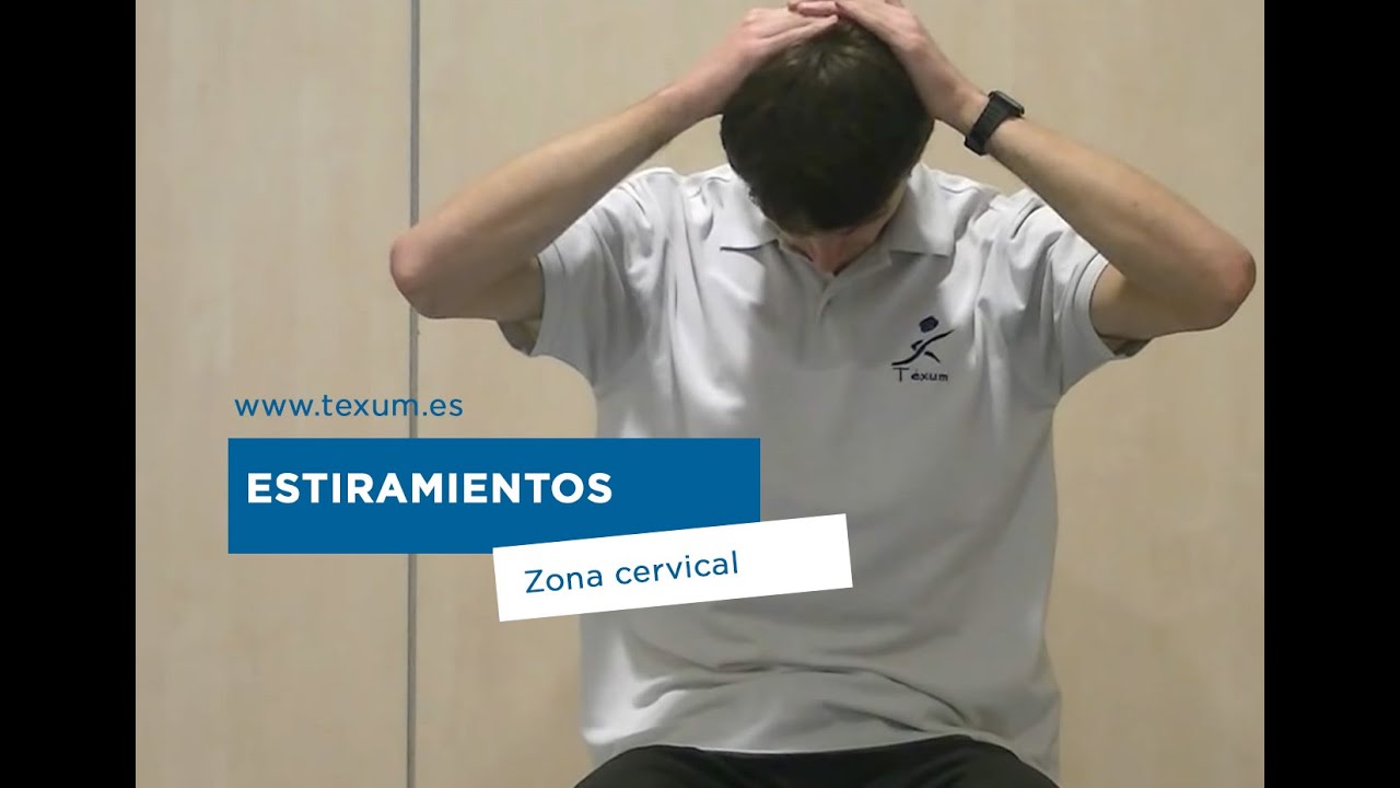 Estiramientos de la zona Cervicales. Los esplenios