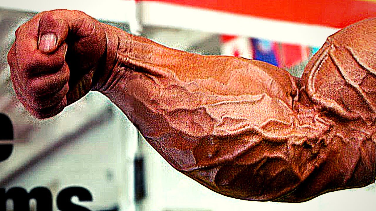Top 10 Forearms In Bodybuilding History!