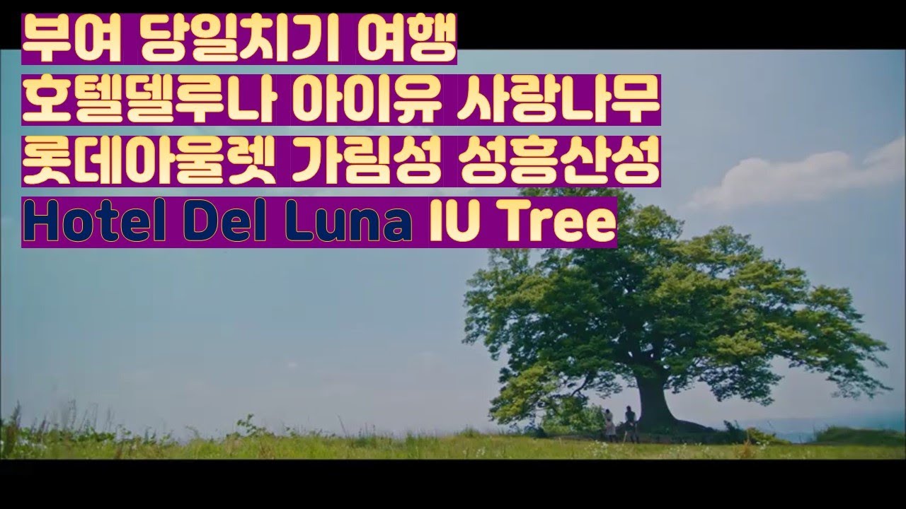 [소도시여행] 부여 l 성흥산성 l 가림성 l 롯데아울렛 l HotelDelLuna l kdrama l Garimseong l IU #ifellietrip