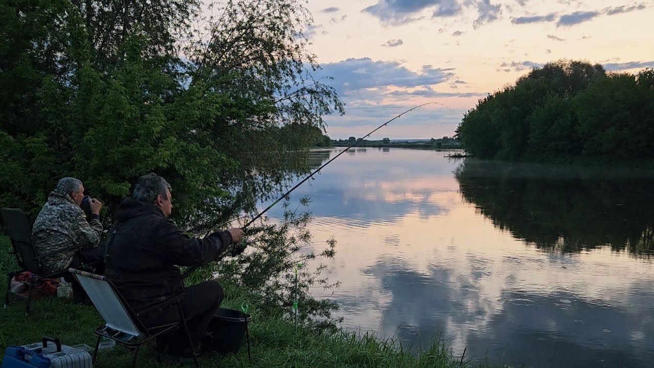 Лещи под Кустом Стали еще БОЛЬШЕ! Рыбалка с Ночевкой на Днепре. Огромные Лещи на Фидер на Днепре.