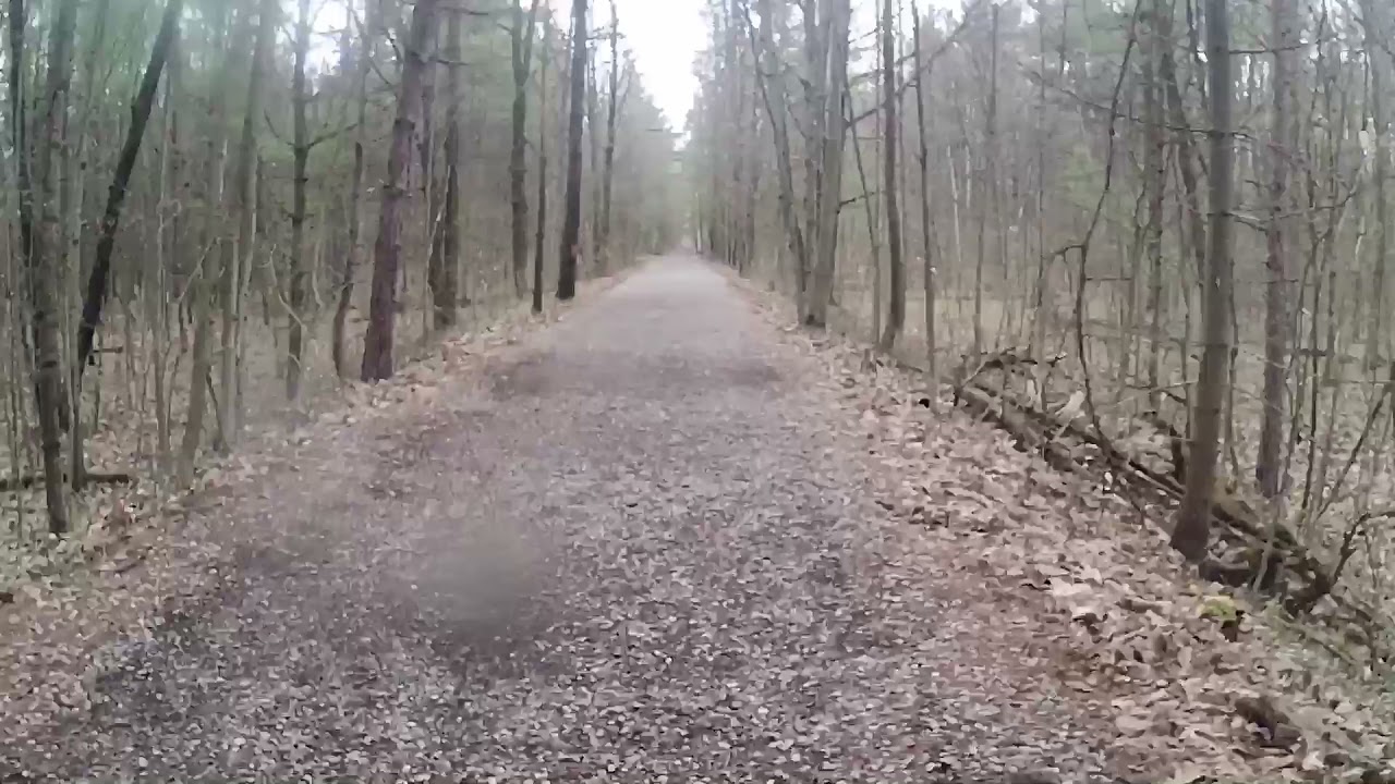 Railbed of the Lake Simcoe Junction Railway in the York Regional Forest Eldred King Woodlands