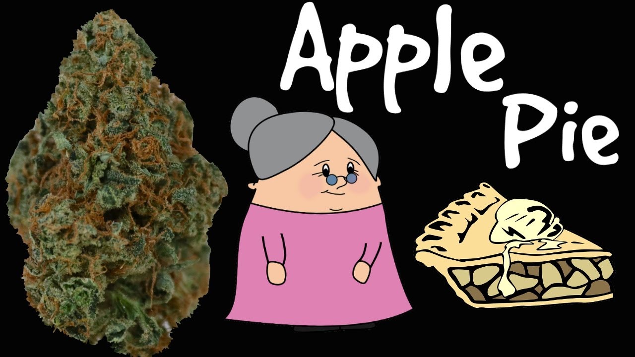 Apple Pie OFFICIAL Strain Review 🍏🍏🍏