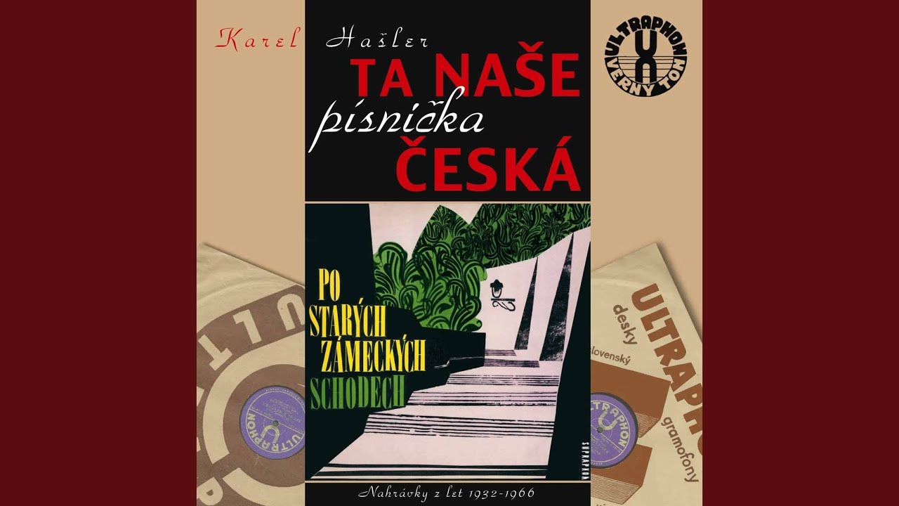 Bílý kvíteček