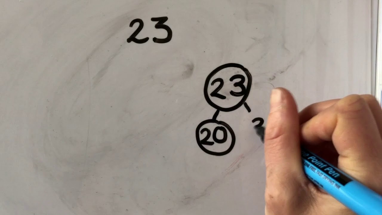 Number Representations