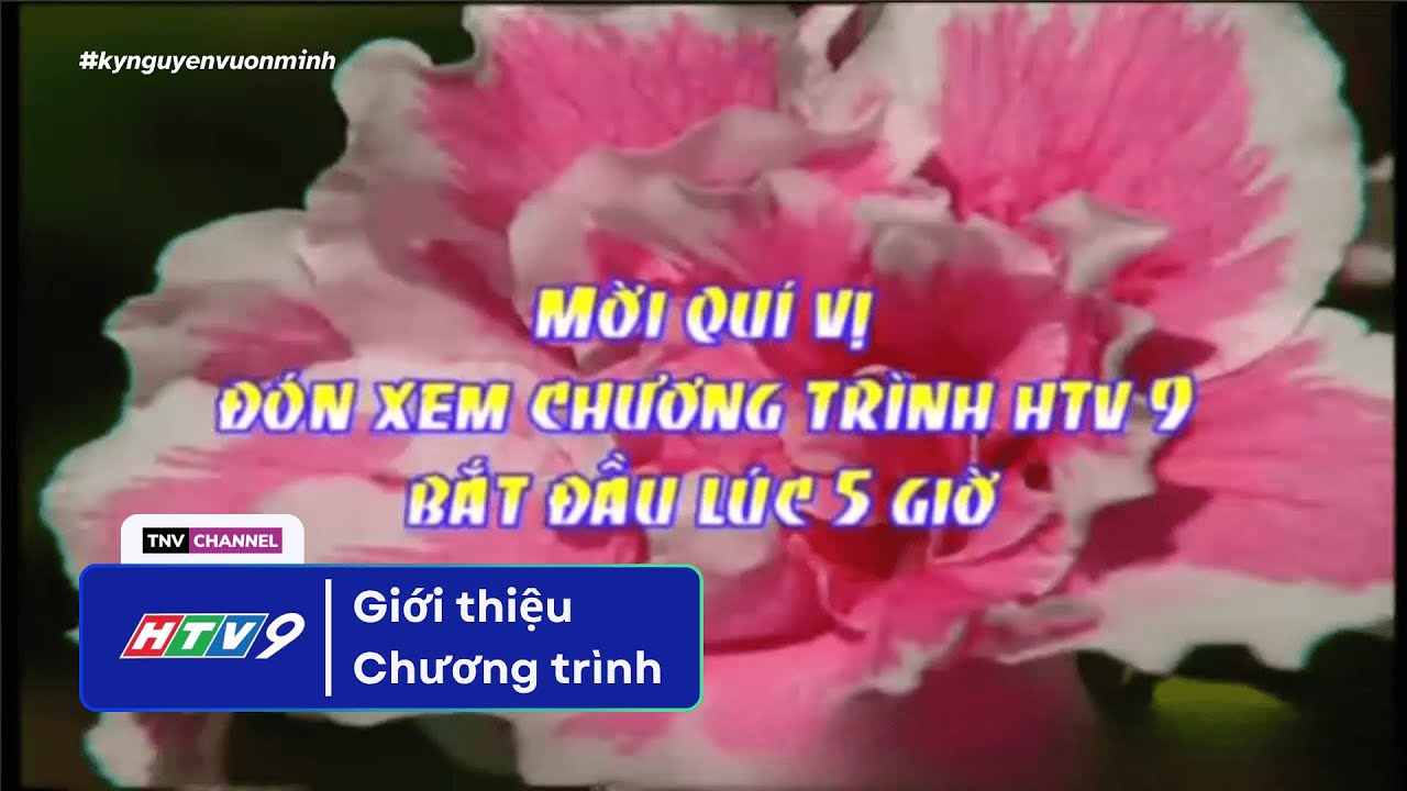 Đ&agrave;i TH TP.HCM | HTV9 - Nhạc chỉnh đ&agrave;i, GTCT H&ocirc;m nay (05.00 10.08.2018)
