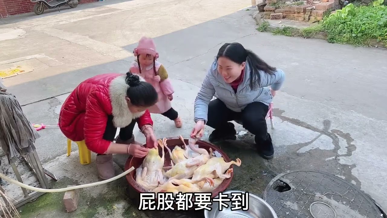 小娜家鸭子长大了，打整的时候，嘉曦一个举动，瞬间让外婆吃醋了，邻居笑翻了 #外婆带娃  #人类幼崽成长记