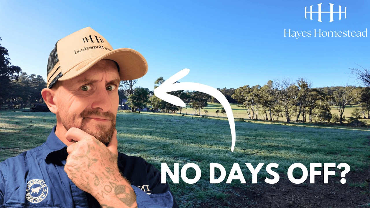 Farm life REALITY: What happens when you take days off from homsteading