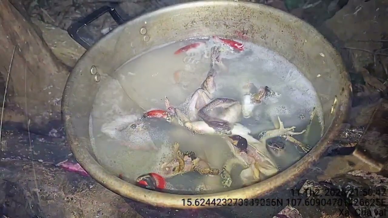 Đi kiếm đồ ăn tếch thôi anh em ơi..!