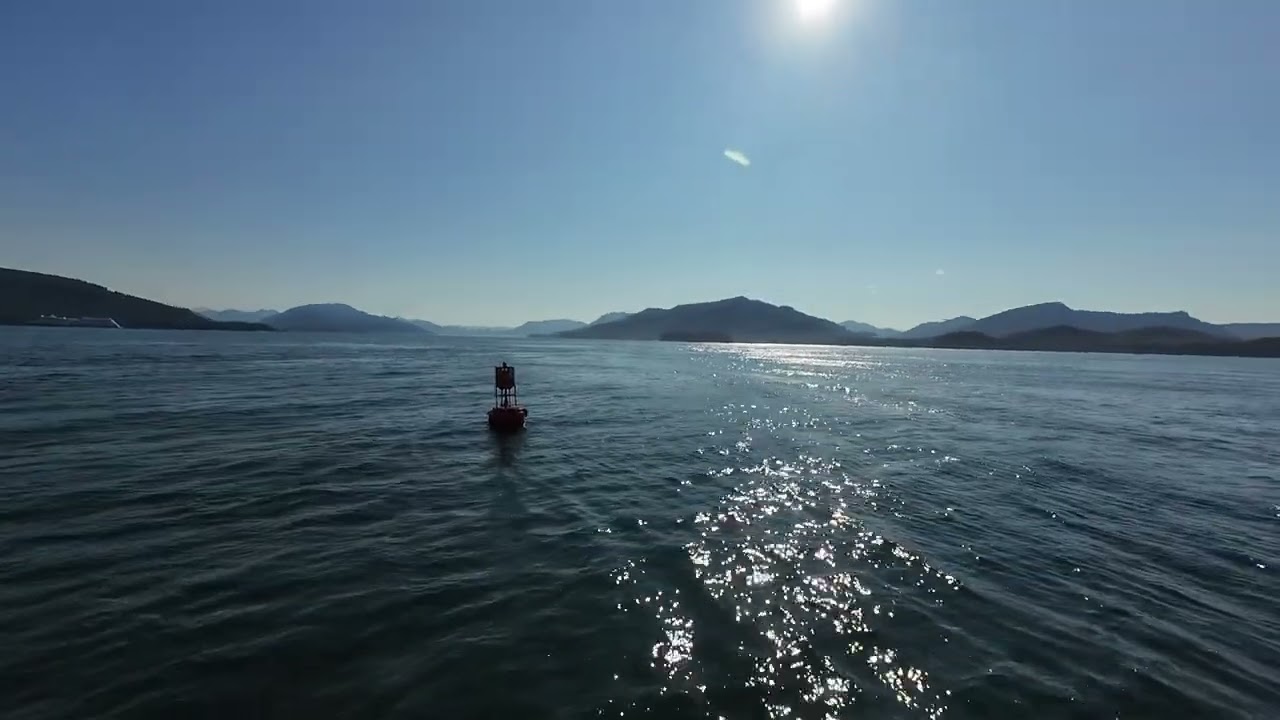 Icy Strait Whale Watching August 2024