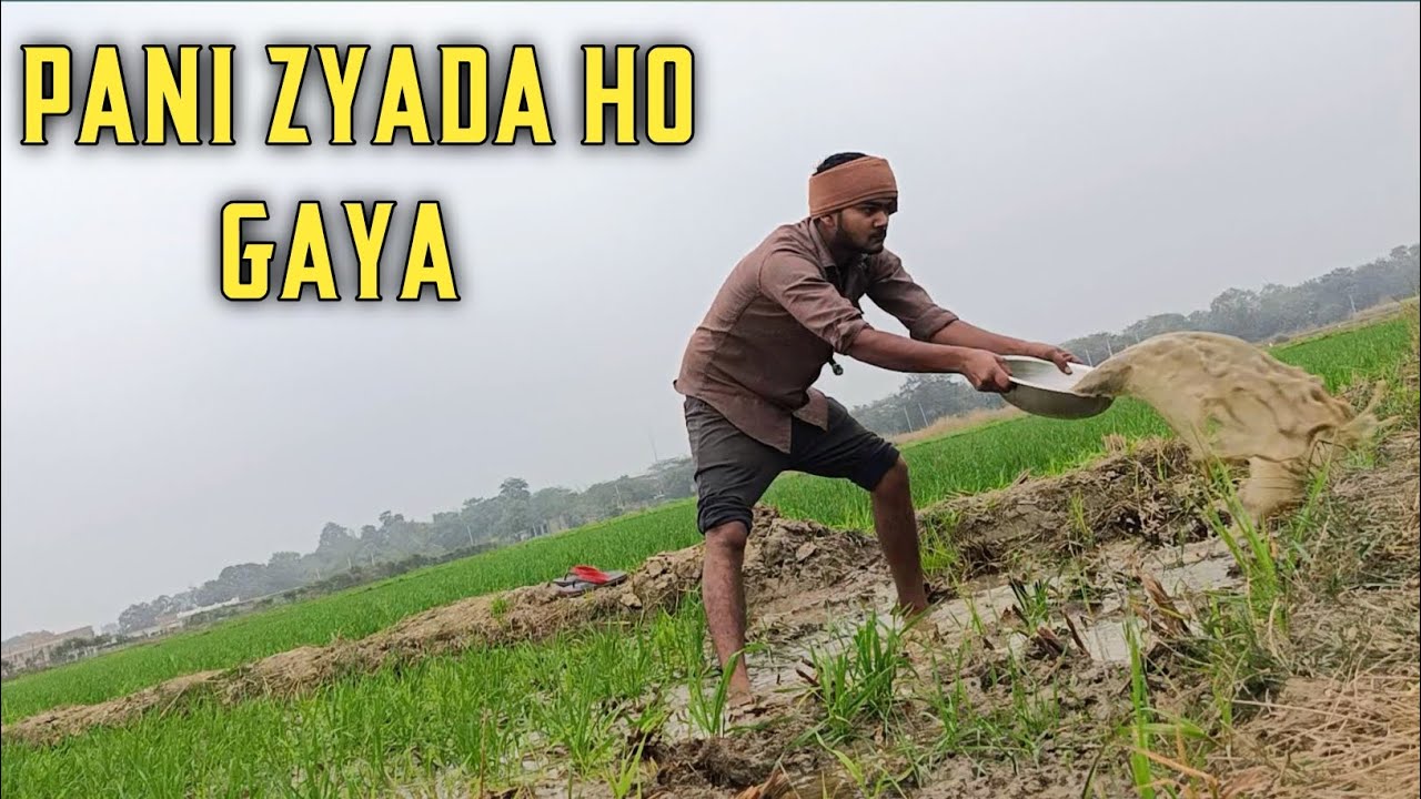 Khet Me Pani Bhar Gaya, Phir Kya Kiya? | Desi Farmer Vlog