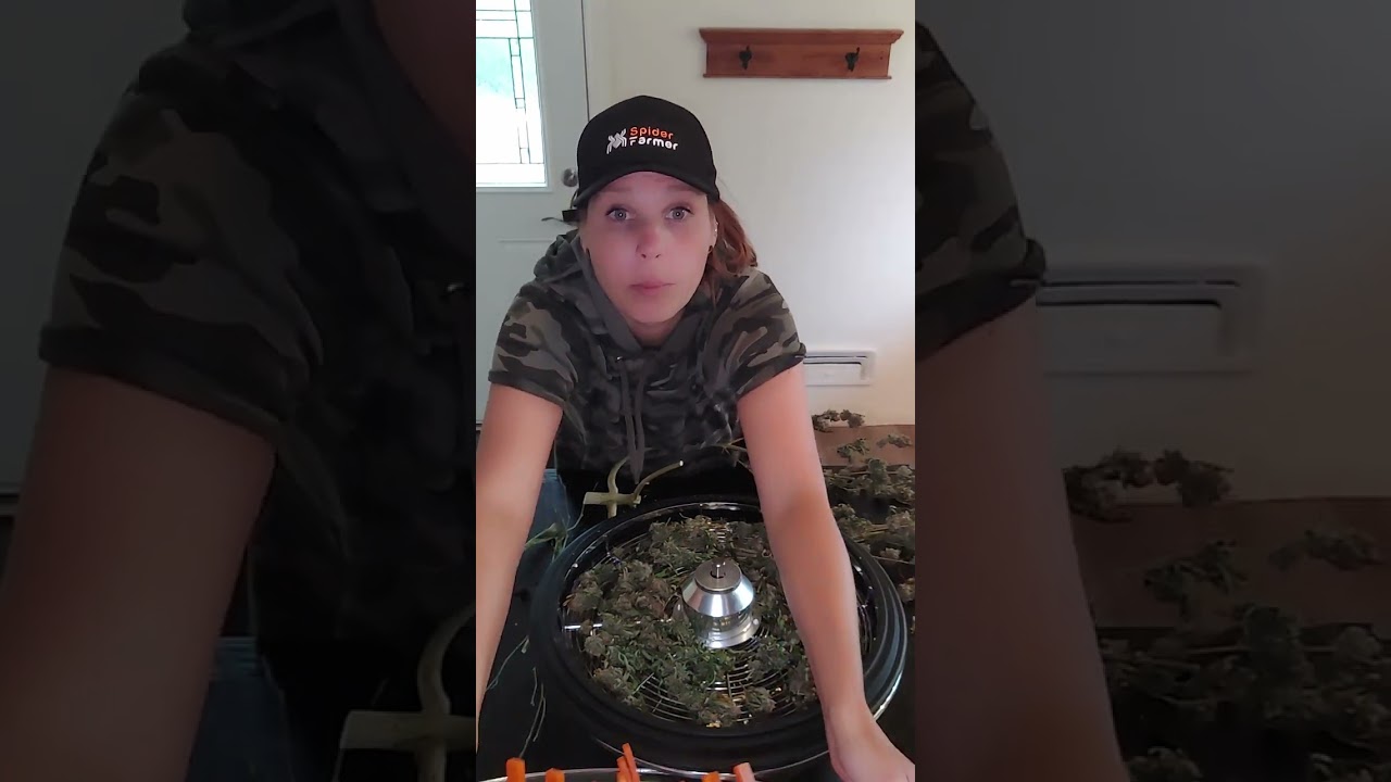 How To Use The Spider Farmer Leaf Bowl Trimmer