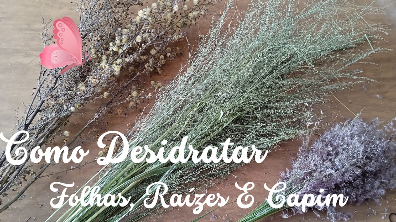 Como Desidratar Folhas E Raízes #plantasdesidratadas#artesanato#capimdesidratado