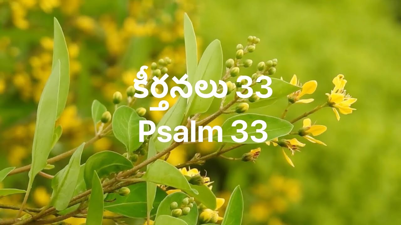 Telugu Bible |  Audio | Psalm 33 | పరిశుద్ధ గ్రంథము | కీర్తనలు 33 | Sravanthi Samson | Sunil Solomon