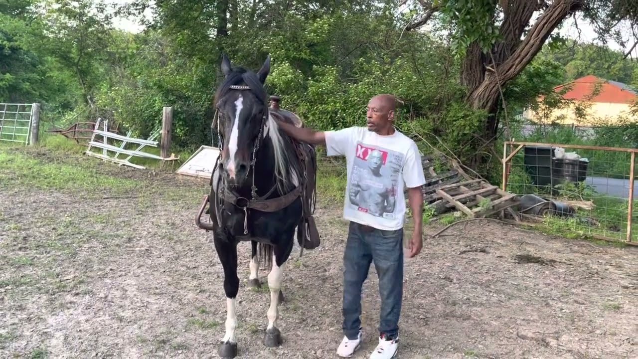 Horse training (Darlin)…Drunk Riding