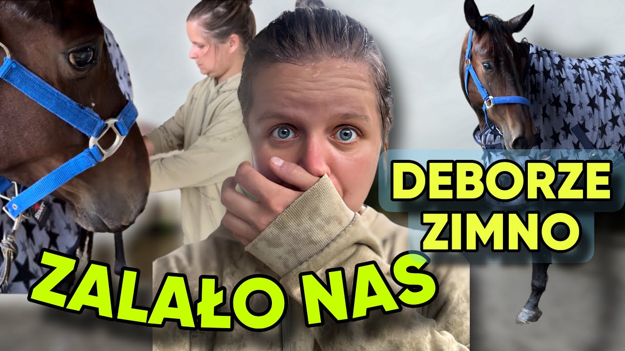 MAMY POWÓDŹ! DEBORA W DERCE? KONIE HORSE ON BOARD
