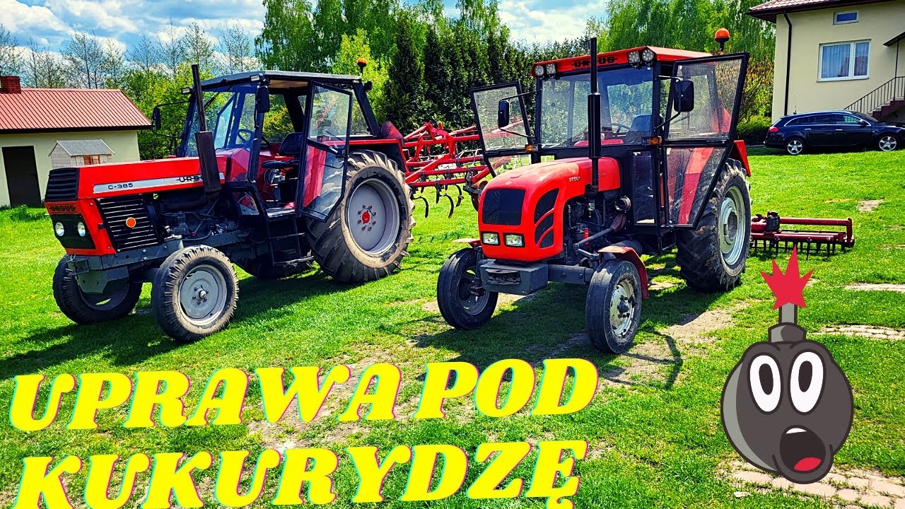Uprawa pola pod Kukurydze na dwa Ciągniki URSUS C 385 vs c 360